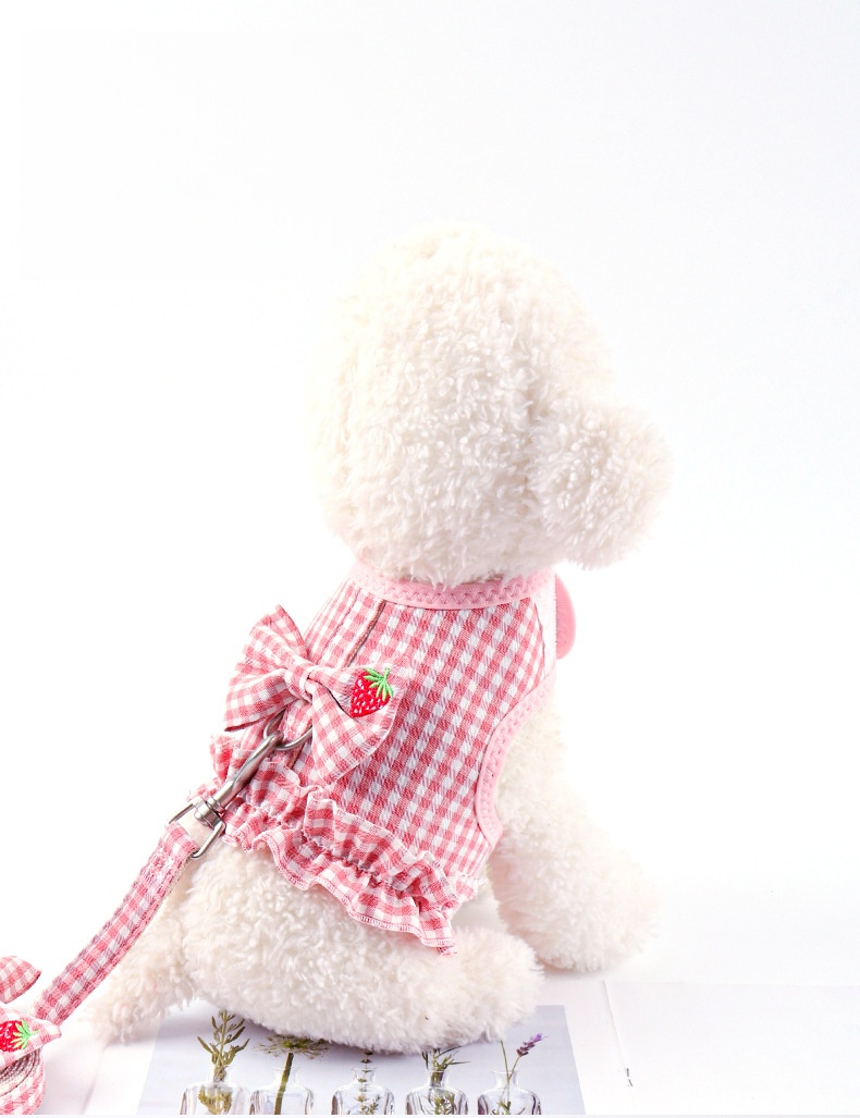 Pink Gingham Dog Harness with Strawberry Detail and Matching Leash